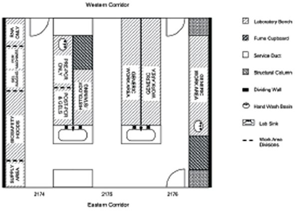 microbiology lab layout design